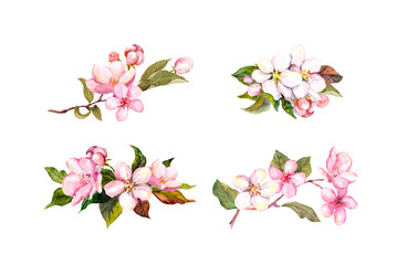 Naklejka premium Watercolor spring blossom bouquet clipart set with flowers, buds and leaves isolated on white. For invitations, stationery, scrapbooking and branding.