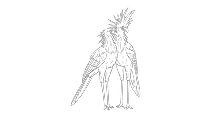 Secretary Birds: Two elegant secretary birds, with distinctive crests and poised stances, stand side by side against a clean background, their detailed forms highlighting the beauty of nature.