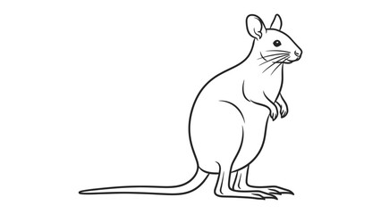 Wallaby Line Art: A sleek line drawing of a wallaby, with its upright posture and alert expression, captures the essence of this unique marsupial.  © Abu