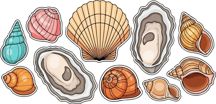 A collection of colorful marine shells and oysters