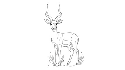Fototapeta premium A graceful line art drawing of a standing impala, showcasing its long, curved horns and slender body, isolated on a clean white background.