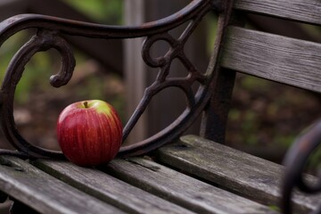 Red Apple on Wooden Bench, Cast Iron Detail in Park Setting - A Still Life