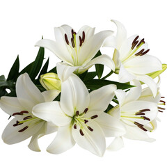 Obraz premium Elegant white lilies bouquet isolated on transparent background