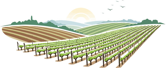 Naklejka premium Rolling green vineyards under a warm sun with distant hills and birds