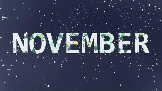 Stylized 'NOVEMBER' text with a subtle floral pattern against a dark, starry or snowy background, representing the eleventh month.