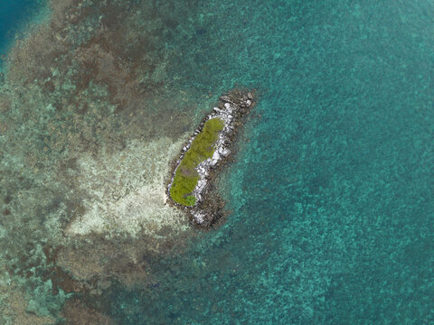 Aerial view of a small rocky island, with sparse green vegetation, surrounded by the clear turquoise waters of the Java Sea, Jepara Regency, Indonesia.