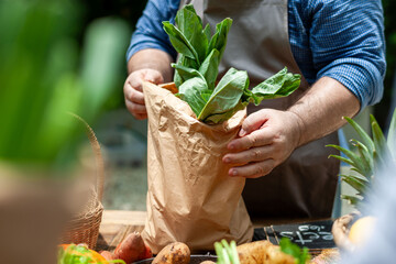 Fresh organic produce in bag
