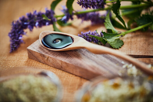 Plants, essential oil and spoon at spa with aromatherapy ingredients for natural therapy. Lavender, liquid and flowers with floral fragrance, remedy and therapeutic benefits for holistic wellness
