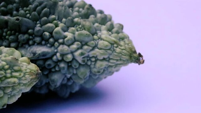Close-up of Fresh Green Bitter Melon Gourd with Bumpy Texture on Pale Background
