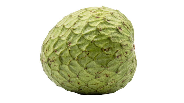 Exotic chirimoya fruit displaying its unique scaled green rind captured with vibrant clarity