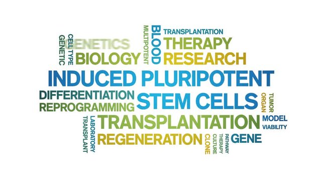 induced Pluripotent Stem Cells animated word cloud-text design animation tag kinetic typography seamless loop.