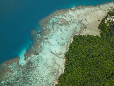 Aerial view of the dramatic contrast of deep blue sea meeting the vibrant coral reefs and lush green shoreline at Turtle Conservation, Karimunjawa, Central Java, Indonesia.