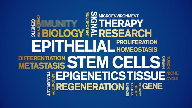 Epithelial Stem Cells animated word cloud-gross domestic product animation tag kinetic typography seamless loop.
