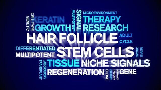 Hair Follicle Stem Cells animated word cloud-gross domestic product animation tag kinetic typography seamless loop.
