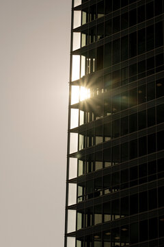 Modern urban architecture shows vertical glass skyscraper building facade with sunlight flare reflecting on windows for a clean highrise exterior
