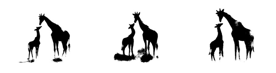 Fototapeta premium Maternal bond in the wild: A silhouette of two giraffes, one adult and one young, against a white background.