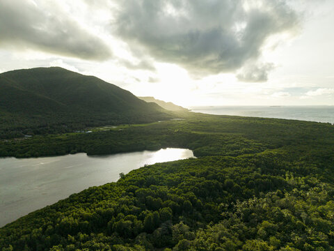 Aerial view of the Karimunjawa Mangrove Forest, its lush green canopy contrasting with the dark waters under a sky of soft, diffused light, Karimunjawa, Central Java, Indonesia.