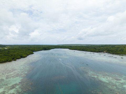 Aerial view of the tranquil turquoise waters meet the lush mangrove forests, creating a vibrant contrast under the expansive sky, Karimunjawa, Central Java, Indonesia.