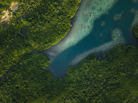 Aerial view of the mangrove forest meeting the turquoise waters, a vibrant contrast of deep greens and bright blues, Karimunjawa, Central Java, Indonesia.
