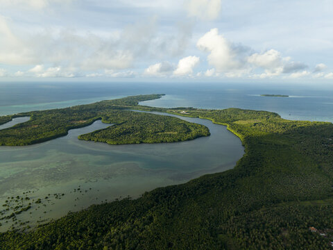 Aerial view of lush green Karimunjawa Mangrove Forest meeting the turquoise sea under a soft sky, Karimunjawa, Central Java, Indonesia.
