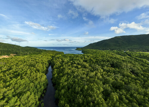 Aerial view of winding river cutting through the verdant Karimunjawa Mangrove Forest contrasting with the blue skies and distant hills, Karimunjawa, Central Java, Indonesia.