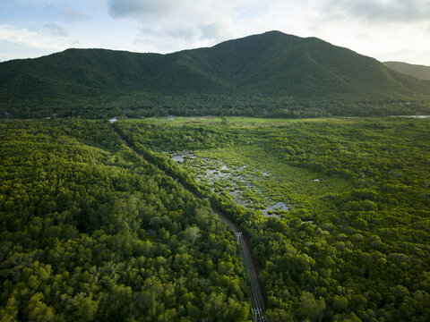 Aerial view of lush mangrove forests intersected by a narrow pathway, set against a backdrop of verdant mountains, Karimunjawa, Central Java, Indonesia.