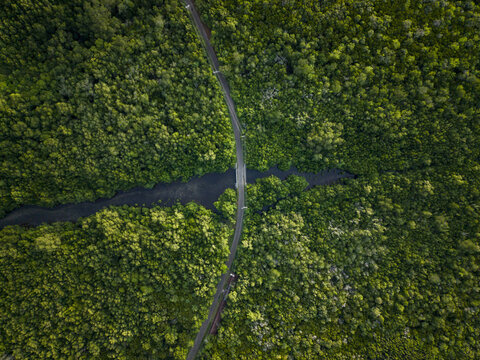 Aerial view of a serene river cutting through the dense, verdant expanse of Karimunjawa Mangrove Forest, Karimunjawa, Central Java, Indonesia.