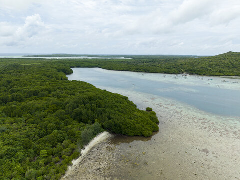 Aerial view of emerald mangrove forests meet the turquoise sea under a vast sky, creating a vibrant contrast of colors, Karimunjawa, Central Java, Indonesia.