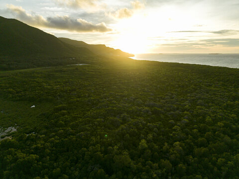 Aerial view of the lush Karimunjawa Mangrove Forest edged by the sea, kissed by the golden sunset, Karimunjawa, Central Java, Indonesia.