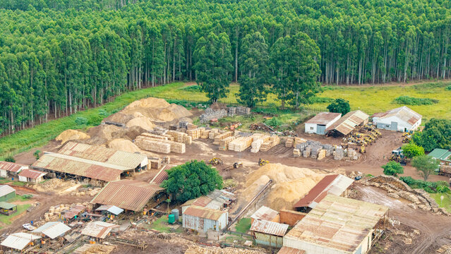 Aerial view of a timber yard with piles of wood and rusty roofed buildings contrasted against a dense forest, White River, Mpumalanga, South Africa.