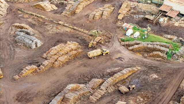 Aerial view of stacks of timber logs awaiting processing, contrasting against the muddy ground and sparse buildings, White River, Mpumalanga, South Africa.