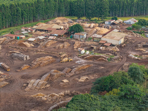 Aerial view of stacked timber contrasts with the lush green forest backdrop, a scene of industry meeting nature, White River, Mpumalanga, South Africa.