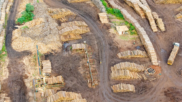 Aerial view of stacks of timber logs contrasting with the muddy ground, creating a textured landscape of industry and nature, White River, Mpumalanga, South Africa.