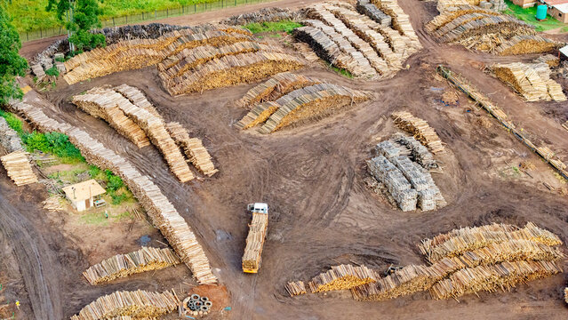 Aerial view of stacks of timber logs neatly arranged on the brown soil, creating a textured landscape with a truck moving, White River, Mpumalanga, South Africa.