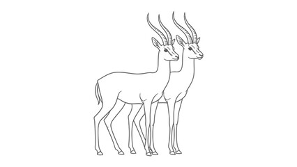 Antelope Duo: A graceful depiction of two majestic antelopes standing side by side, their slender bodies and impressive horns outlined against a clean backdrop. © AJM
