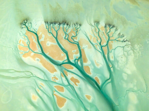Aerial view of winding turquoise waterways carve through the pale sands, creating a tree-like pattern against the muted landscape, Al Nouf, Abu Dhabi, United Arab Emirates.