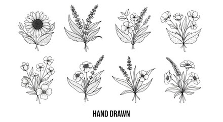 Eight grayscale botanical illustrations of various plants isolated on transparent background