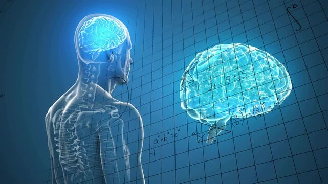 Vertical video: Model turning showing spine as arrow linking skull to hologram, math rising for med