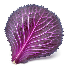 Fototapeta premium Close up of a vibrant red cabbage leaf showcasing its intricate veining and texture