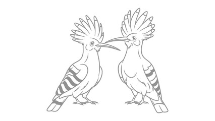 Hoopoe in monochrome: Two hoopoe birds, depicted in a monochrome illustration, stand side by side, showcasing their distinctive crests and elegant beaks in a display of avian beauty. © Nadim