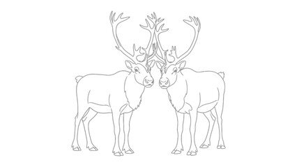 Fototapeta premium Reindeer Silhouette: Two majestic reindeer with impressive antlers stand gracefully, creating a striking contrast against the serene background.