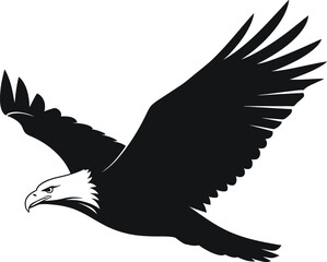 Fototapeta premium American bald eagle in flight silhouette