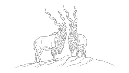 Markhor Pair on Ridge: A stylized line drawing portrays a magnificent pair of Markhor goats standing regally on a rocky ridge, their impressive spiraling horns a testament to their wild majesty.