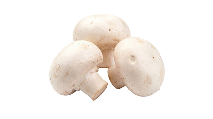 Freshly harvested pristine white mushrooms standing proudly together on a stark bright canvas awaiting culinary creation