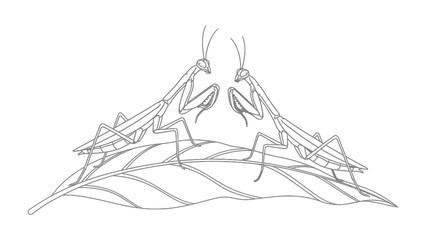 Obraz premium Two Praying Mantises on Leaf: A delicate line drawing depicts two praying mantises facing each other, perched on a stylized leaf, embodying an elegant and serene moment in nature's intricate design.