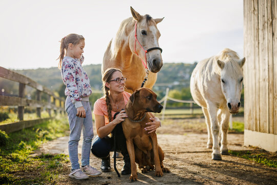 Portrait of woman and her daughter with dog and horses on family ranch at sunset. Rural lifestyle with pets and animals. Happy moment together