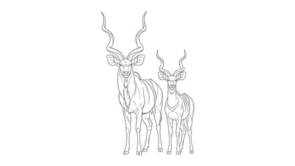 Kudu Antelope Line Art: A striking line drawing of a majestic male Kudu with impressive spiraling horns stands alongside a smaller female, showcasing their elegant form in a minimalist style.