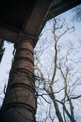 Naklejka premium View through a historic stone column of an old building on bare winter tree branches and the moon.