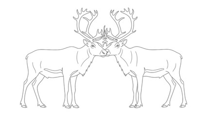 Antlered Duo: Two majestic reindeer with impressive antlers stand gracefully, their horns touching, in a simple yet elegant display of nature's artistry. © mstmahmuda