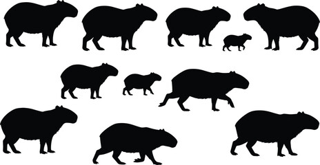 Capybara silhouette collection in different poses including walking standing and baby capybara, black animal vector illustration isolated on light background wildlife design set